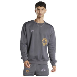 Reebok Ανδρικό φούτερ